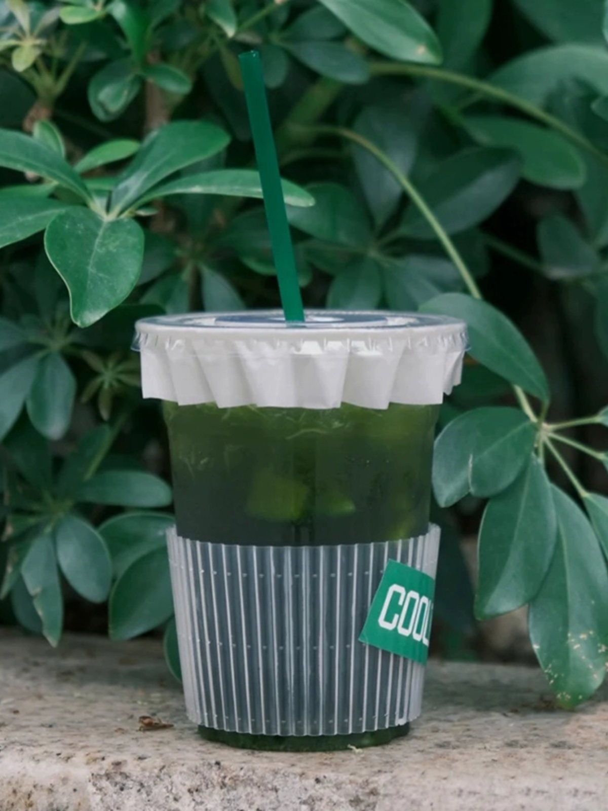 Disposable Transparent Cup Sve - Coffee Tea Thai review and price