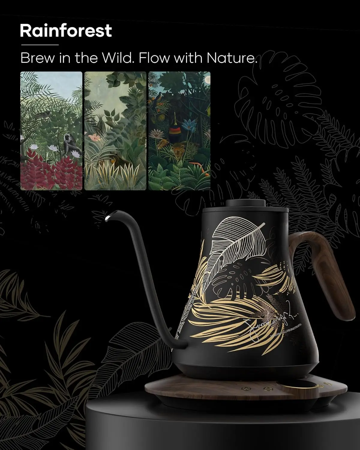 FLOW B9 Gooseneck Electric Ket - Pour Over Kettle review and price