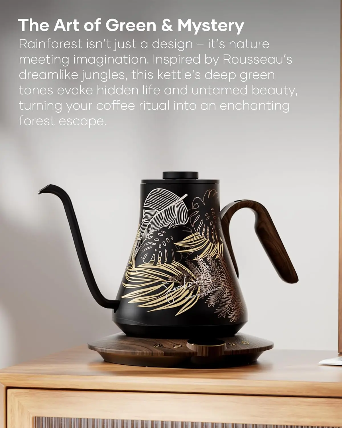 FLOW B9 Gooseneck Electric Ket - Pour Over Kettle review and price